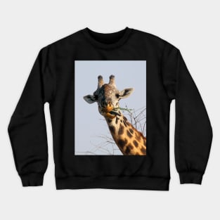 Maasai or Masai, Giraffe, Serengeti, Tanzania Crewneck Sweatshirt